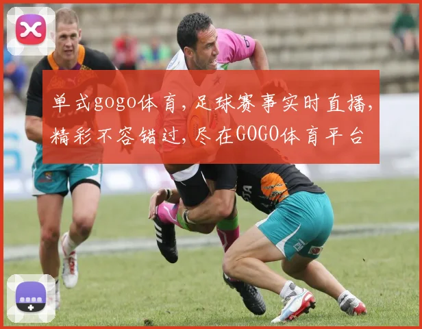 单式gogo体育,足球赛事实时直播,精彩不容错过,尽在GOGO体育平台